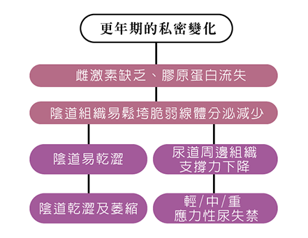 產後祕密處理