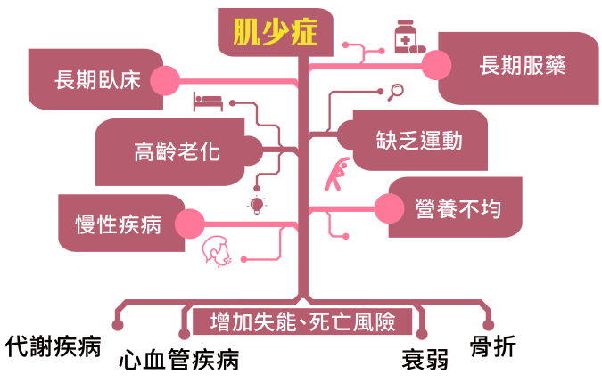 增加骨盆肌肉群